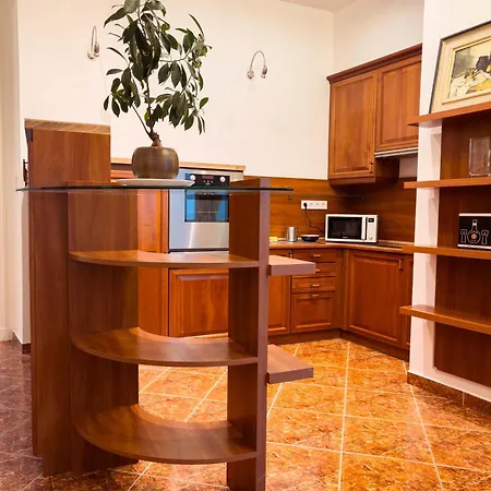 Buda Castle View Grand Apartment *